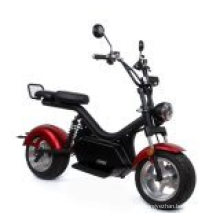 Double Seat Electric Citycoco Bike